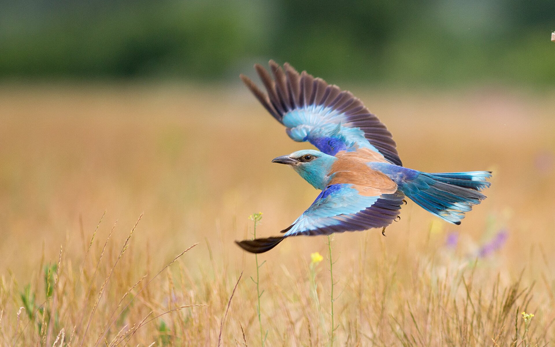 广场舞与健身产业融合发展，广场舞与全民健身