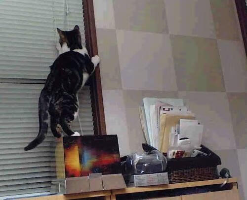 kaiyun开云·官方网站-“经典比赛重温：那些年我们共同追忆的篮球瞬间”，回忆篮球比赛的句子